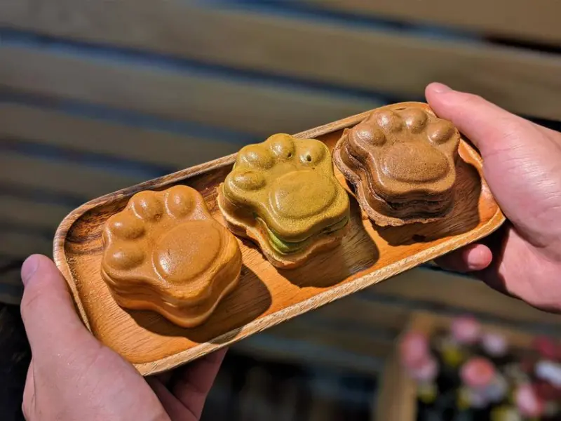 貓掌燒｜2020臨江街最受歡迎的美食！台北最可愛的甜點！台北下午茶推薦、通化街下午茶推薦、台北甜點推薦、通化夜市美食推薦、臨江夜市美食推薦、大安甜點推薦、外送美食推薦