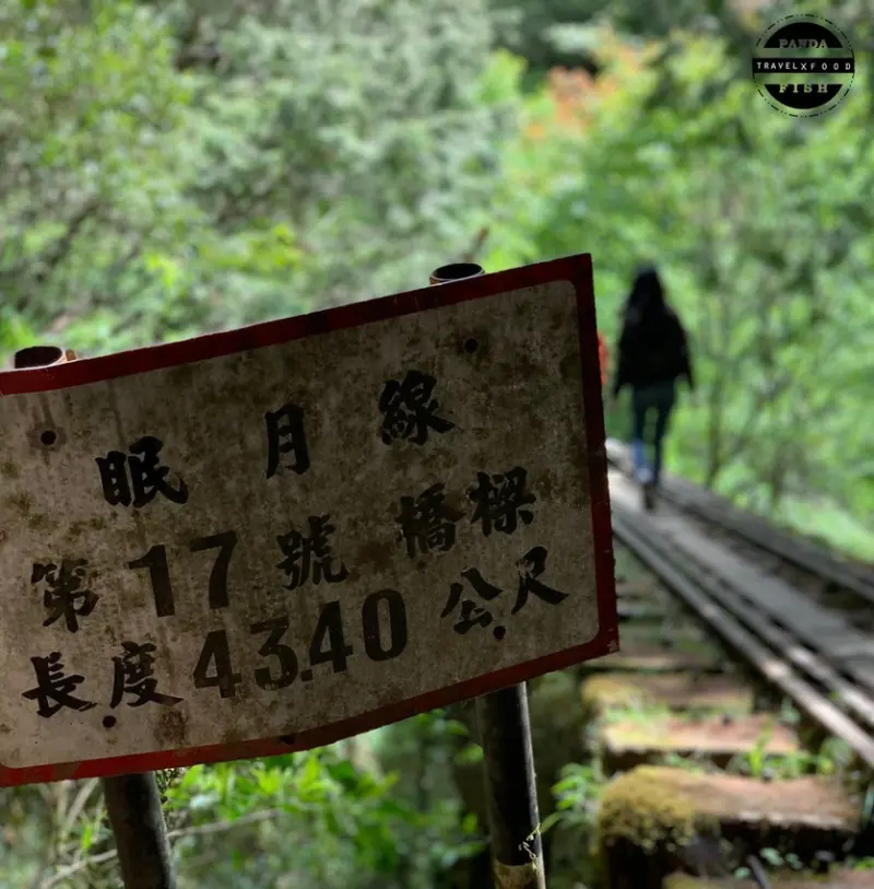 「嘉義。眠月線」走進失落秘境的鐵道，隱身在神秘的森林之中，難度心得分享
