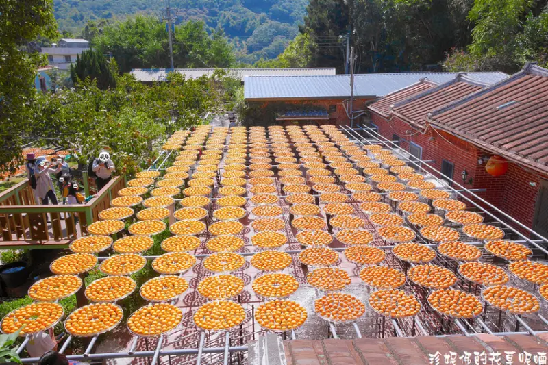 【新竹-新埔鎮】2020新埔柿餅節｜金漢柿餅教育農園