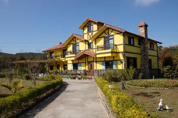 2024韭菜花田打卡點推薦  / WalkerLand窩客島提供 未經許可，不得轉載