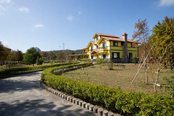 突然的歐式風光 -大溪黃色小屋/咖啡莊園 Yellow House 449