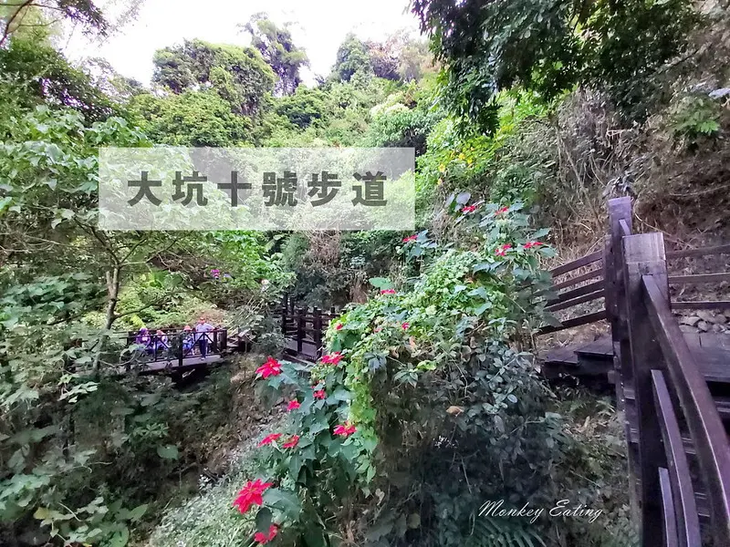 台中景點│北屯大坑風景區，大坑10號登山步道，景色怡人的階梯步道，台中旅遊景點
