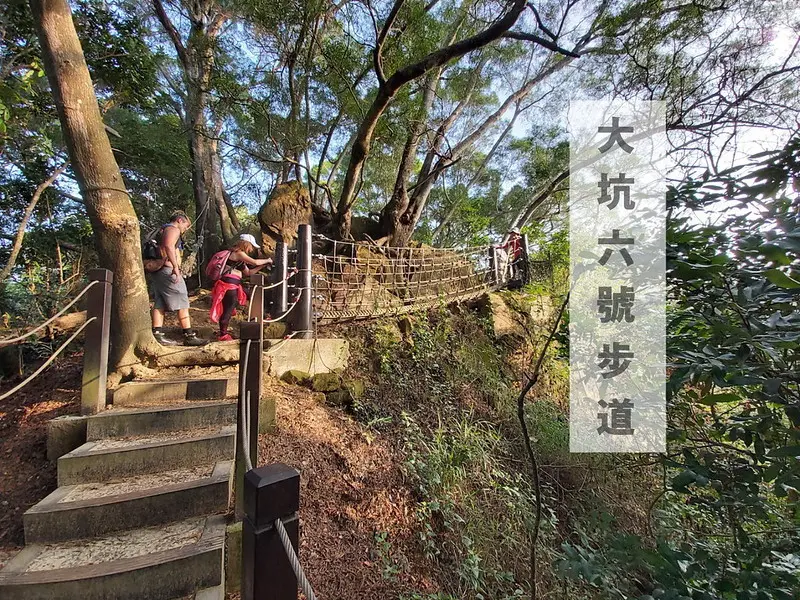 台中景點│大坑6號登山步道。峭壁繩索吊橋好刺激，沿途經觀音亭到風動石公園