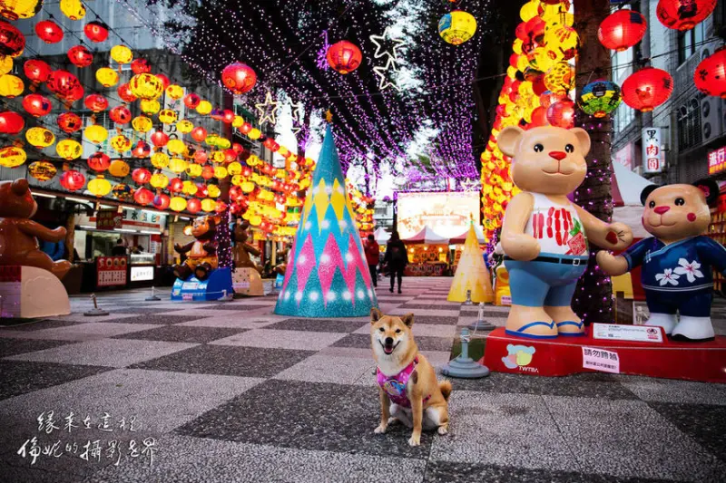 【遊。樹林】2020樹林之美新春嘉年華燈會〜18隻泰迪熊與幸福燈海隧道，提前帶妳過元宵！