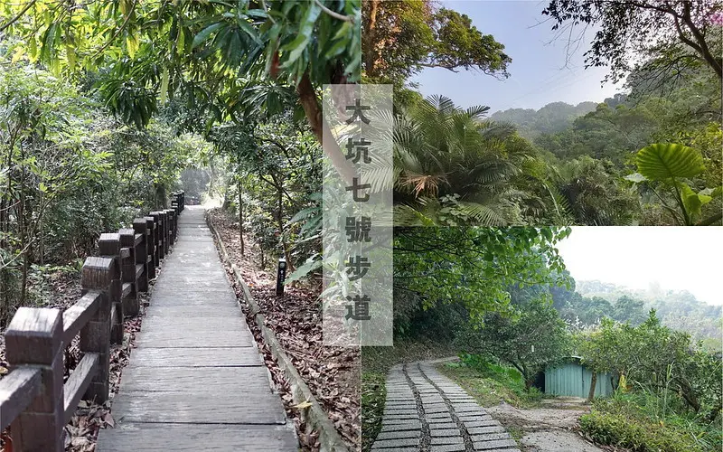 台中景點│大坑7號登山步道。適合親子健行悠閒散步步道，連接風動石公園，台中一日遊