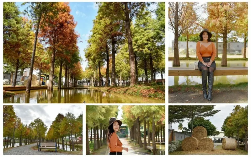 雲林虎尾鎮｜虎尾堀頭28落羽松秘境 神秘隱身工廠落羽松園區 雲林落羽松景點 虎尾落羽松拍照秘境 熱氣球彩繪牆 雲林一日遊景點推薦