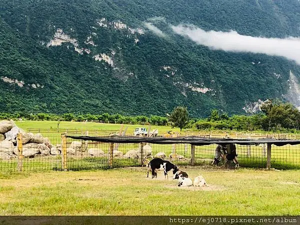 |旅遊|花蓮 崇德瑩農場/露營車、飛行傘、風味餐、沙灘車、極限運動、賞鯨輕旅行/台版紐西蘭/無敵海景/夢幻泡泡屋/花蓮景點推薦