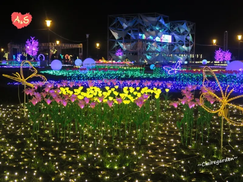 南投2020燈會~電子花海，好夢幻。晶亮隧道，網美必來