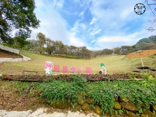 翠墨莊園，桃園復興鄉大溪景點，日式鳥居/熱氣球/飛天翅膀，IG打卡景點，寵物 - Cyndi loves享食天堂