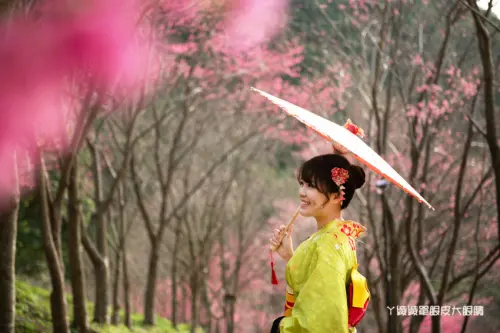 新開幕桃園旅遊景點推薦翠墨莊園！粉嫩櫻花林步道期間限定和服體驗！入園抽iPhone11 - ㄚ綾綾單眼皮大眼睛