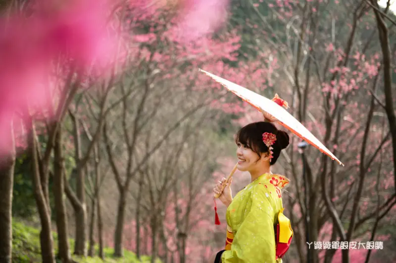 新開幕桃園旅遊景點推薦翠墨莊園！粉嫩櫻花林步道期間限定和服體驗！入園抽iPhone11 - ㄚ綾綾單眼皮大眼睛