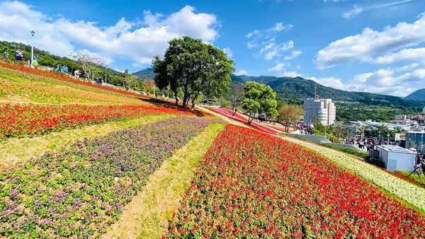 2020台北最夯打卡景點|台版富良野花海|北投社三層崎公園|台北隱藏版花海|漸層式彩虹花海夢幻登場