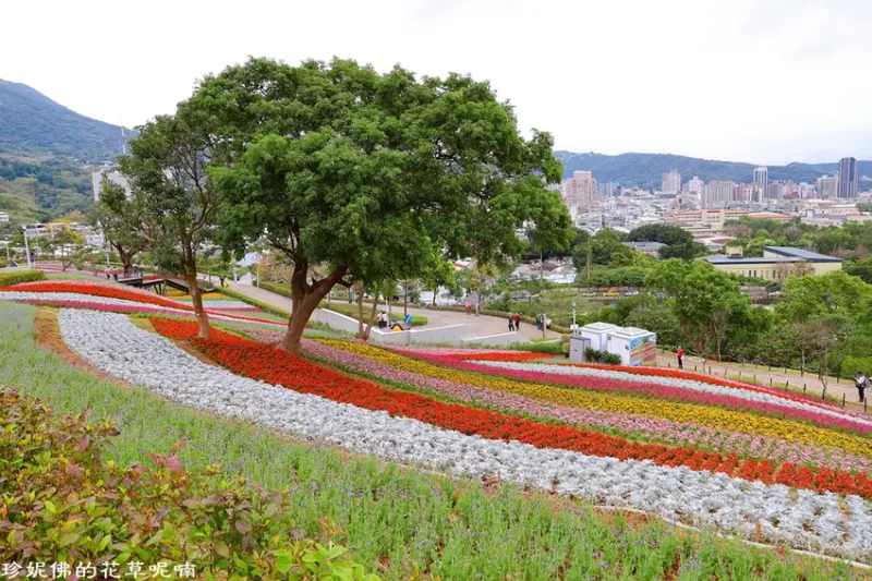 【台北-北投區】2021北投社三層崎公園花海「花現三層崎之美」1/27-3/31