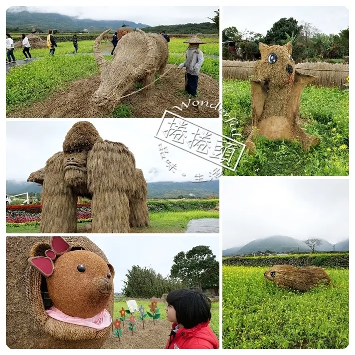 ▋2020富里稻草藝術節 ▋現身田野間的稻草動物園！超狂六米高銀背猩猩，巨型松鼠，黃金山豬。快來拍一波！！！