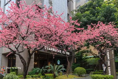 200204新北市-星巴克林口文化三門市