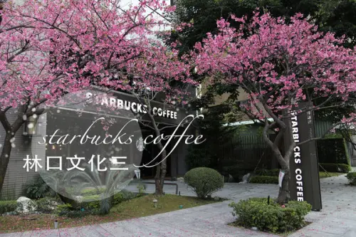 新北林口｜Starbucks星巴克 林口文化三門市｜季節限定浪漫春日的櫻花門市