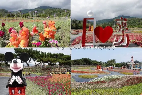 台東免費景點【成功花海】台11省道-成功鎮農會農特產品展售中心馬路對面繽紛花海裝置藝術。展售中心後方觀景台可遠觀『三仙台』