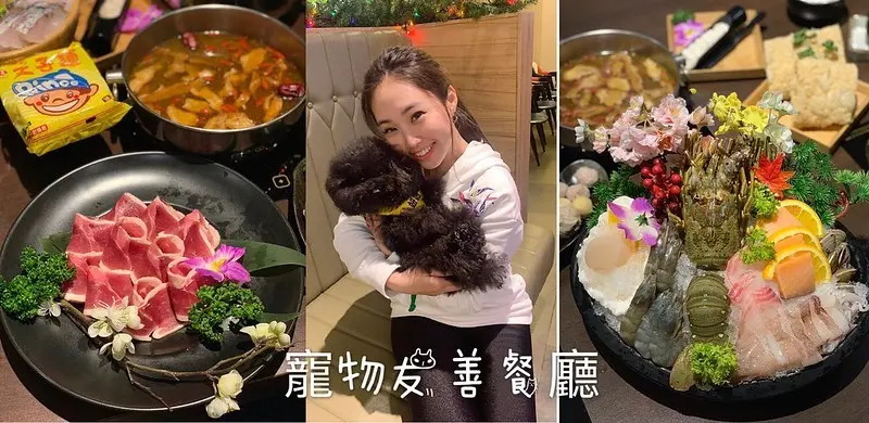 台中火鍋【麋鹿鍋物】寵物友善餐廳也是親子餐廳，還有全台首見個人鍋的薑母鴨唷!飲料、明治冰淇淋和甜點全都無限量供應吃到飽! 大人小孩寵物的天堂火鍋餐廳!