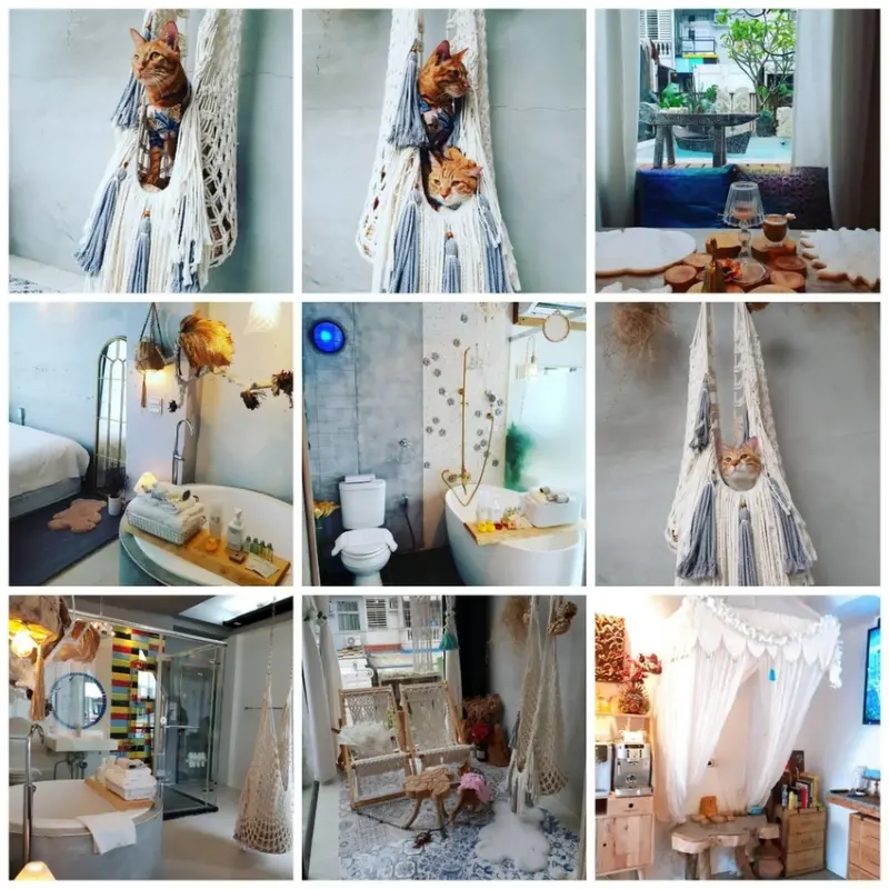 【花蓮.新城】費斯玻璃屋民宿。巴里島+波希米亞風格。內有店貓可攜帶寵物入住。可以拍寫真的超唯美民宿