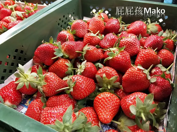 【新埔甜點】超便宜草莓根本批發價_果汁媽粉條爸_鮮甜多汁香氣撲鼻