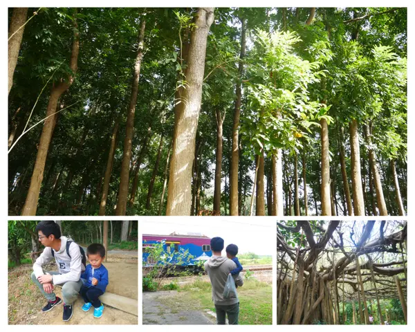 [台南]親子入門登山步道，動感火車奔馳林間，官田拔林川文山生態保育農場/小陽明山
