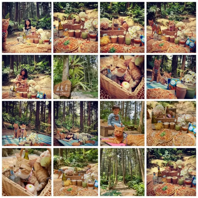 【新竹.北埔】森窯have a picnic。森林系野餐行程阿貓阿狗都可以帶去。各類窯烤比薩+咖啡