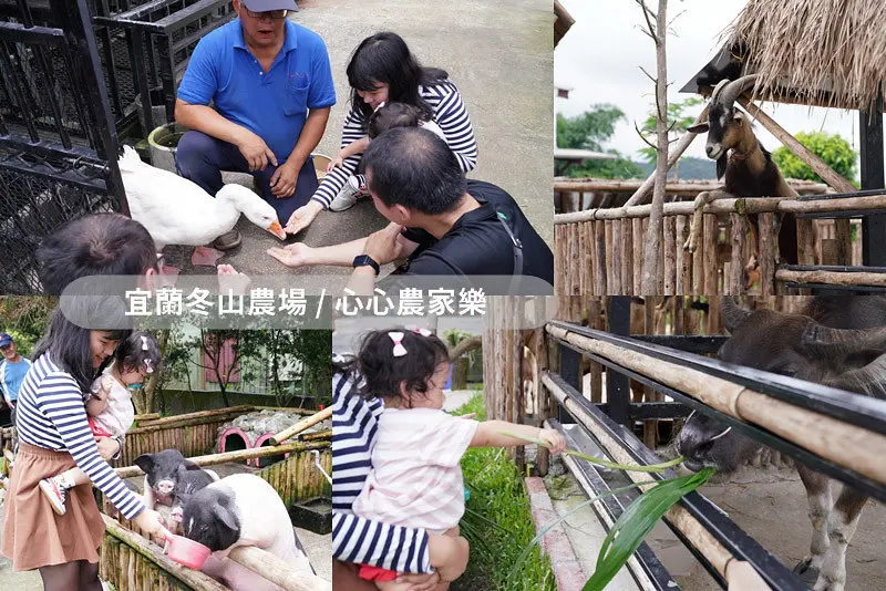 心心農家樂｜宜蘭親子景點｜宜蘭農場｜宜蘭冬山親子景點