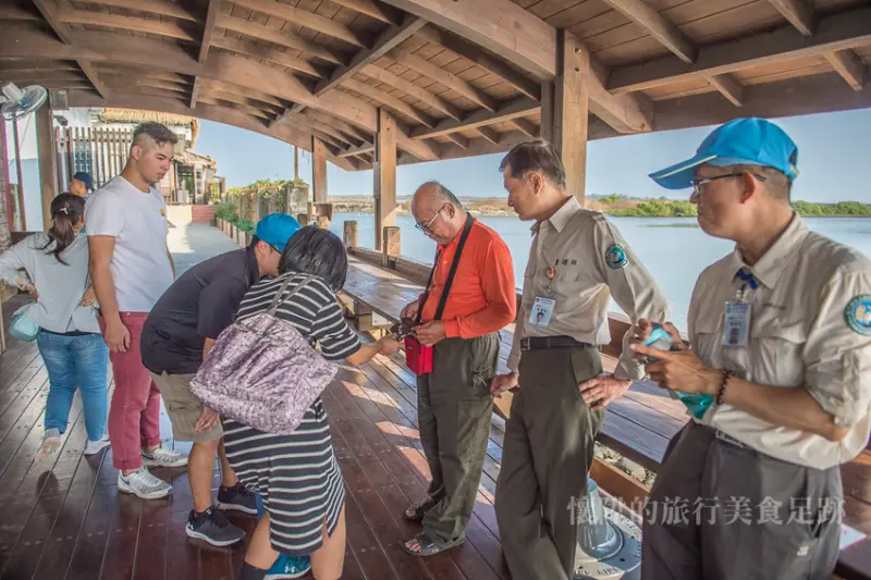 【台南景點】五個台南賞鳥絕佳地點：出發吧！來趟生態之旅，到台南找黑面琵鷺去