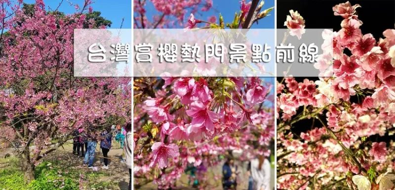 【2020台灣櫻花季】全台賞櫻景點推薦Top7 ➤ 最新情報！IG櫻花網美照～熱門打卡景點！交通資訊/賞櫻花期一次告訴你！