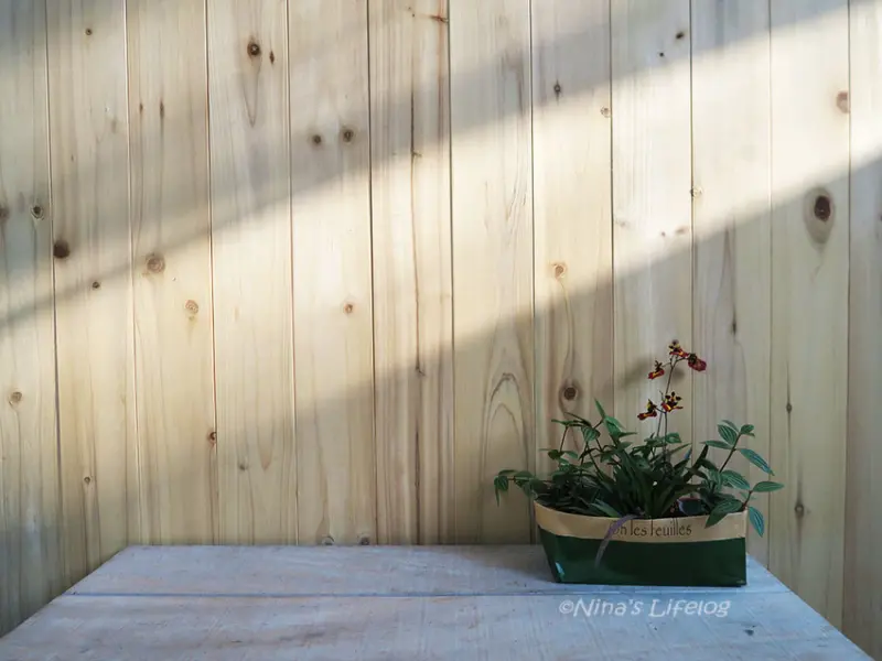 ｜台南白河｜來關仔嶺不只有吃甕仔雞，隱身森林中的文青甜點店，樹耳朵 oh les feuilles