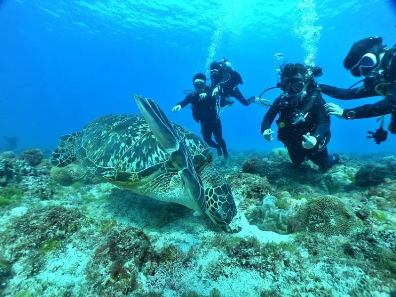 ★屏東小琉球潛水★【居琉潛水背包客棧】體驗潛水考照找居琉潛水店教練超安心！