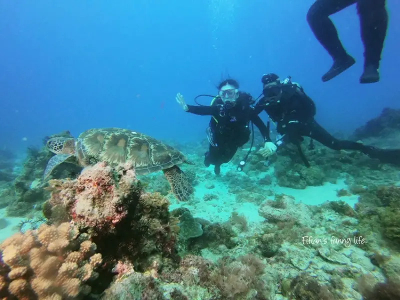| 小琉球旅遊 | 小琉球diving二天一夜輕旅行 居琉潛水店難忘初體驗 教練細心專業 水肺潛水行程推薦