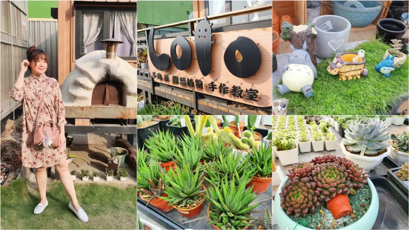 【高雄大寮】Lolo多肉/蕨/觀葉植物/手作教室 與肉肉的幸福相遇 第一次種就上手