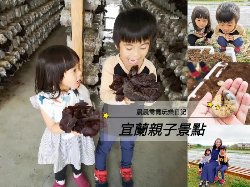 宜蘭景點【天勝農場】採黑木耳、喝木耳露、黑木耳生態導覽，免門票參觀，親子出遊好選擇！