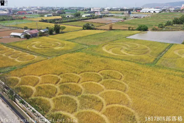 【台中。外埔】台灣也有麥田圈。外星人降落? 外埔三崁麥田圈 。空拍攝影
