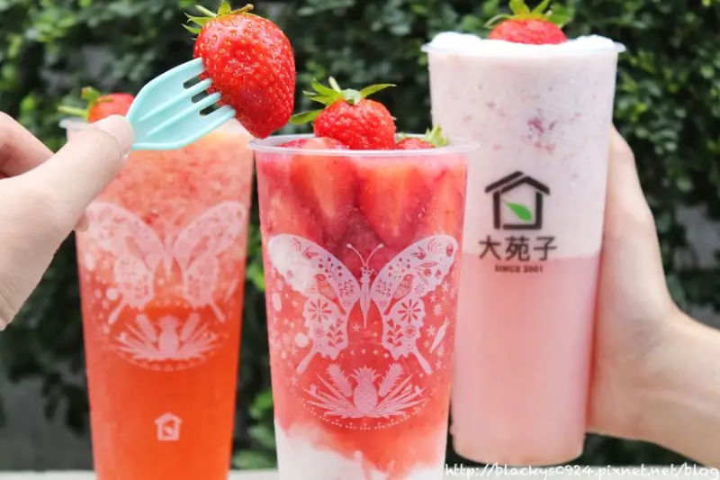 [全台 大苑子] 大湖草莓產地直送，整杯滿滿18顆草莓，草莓控絕對不能錯過的莓好相遇、莓好時光、莓好花樣
