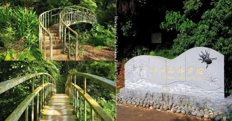 悠悠徜徉山林間︱林口森林步道