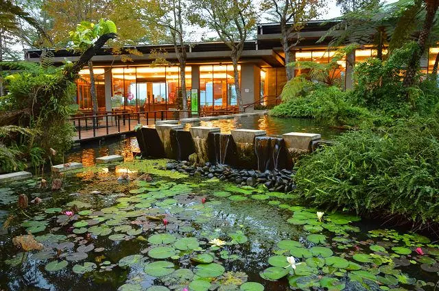台東原生應用植物園~~珍貴藥草的知識寶庫．適合全家同遊進行一場豐富有趣的知性之旅