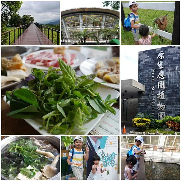 【台東卑南】探索百草的故鄉。原生應用植物園~親子牧場+聽葉笛編葉趣+吃養生汆燙鍋