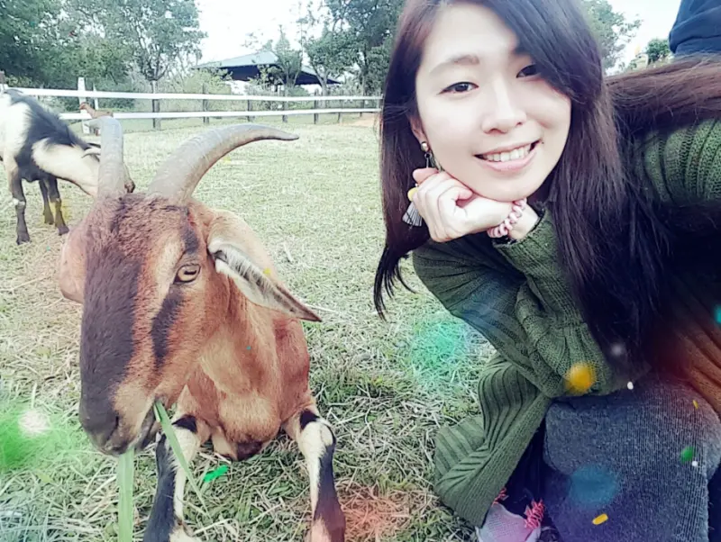 【2017年台東好玩新景點｜台東原生應用植物園與山羊鴕鳥親密接觸~鐵花村~藍蜻蜓、阿鋐炸雞好吃 跟著期貨小咪遊台東】台東3天兩夜行程推薦、台東哪邊好玩、台東必吃炸雞、台東親子遊樂的地方