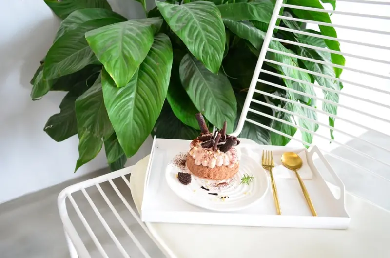 員林大道上新開網美甜點店，中午還有販售咖哩飯喔！