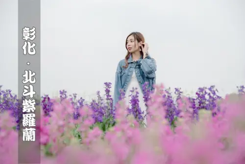 【彰化旅遊/景點】紫羅蘭小花田｜隱藏在北斗的花田秘境｜四色漸層浪漫粉紫超漂亮