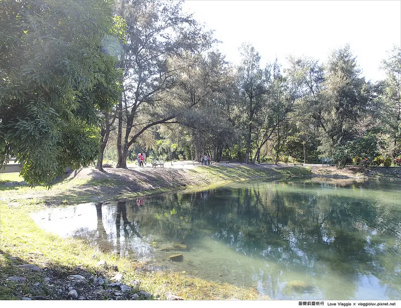 【台東 Taitung】台東森林公園置身在森林浴中 租借單車來一趟森林小旅行