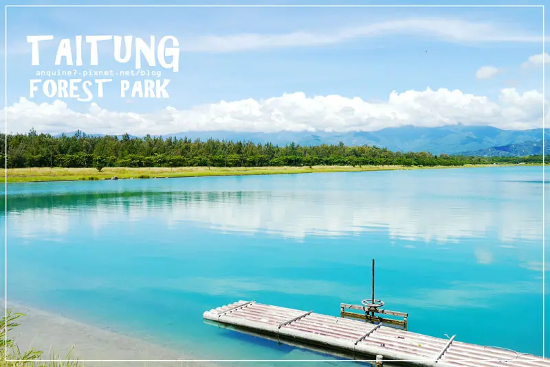 [台東。台東森林公園] 深藏在黑森林裡的璀璨寶石湖水綠仙境