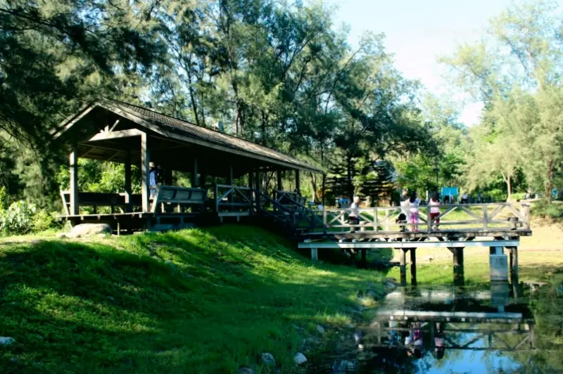 台東市必遊【臺東森林公園】：擋不住三座湖的魅力「琵琶湖、活水湖、鷺鷥湖」
