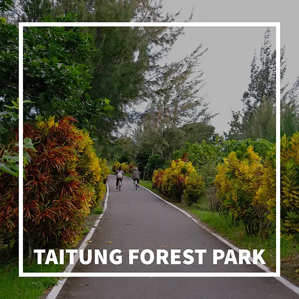 台東一日遊｜台東森林公園
