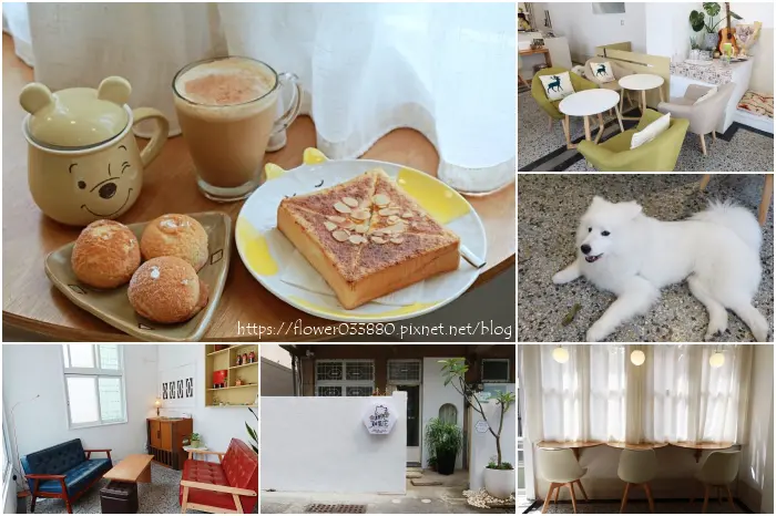 台南寵物友善餐廳【雞與雞蛋花】帶毛小孩一起來這裡喝下午茶吧!還有超可愛的店狗熱情招呼~台南美食|台南下午茶