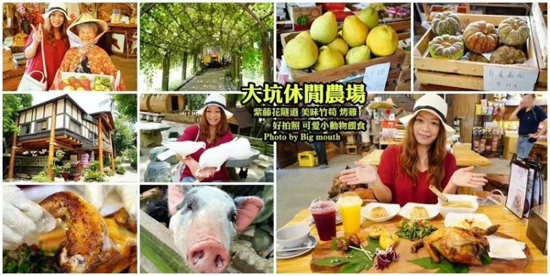 【台南景點】大坑休閒農場．紫藤花隧道+鮮筍料理+小動物餵食超好玩!
