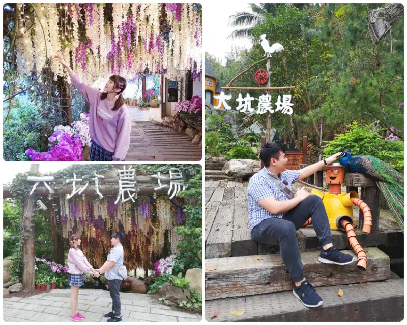 【台南景點】大坑休閒農場，紫藤夢幻隧道超好拍，還規畫了可愛動物區，情侶約會、親子旅遊就來這吧!