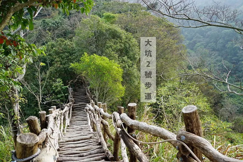 【大坑2號登山步道】挑戰級登山健行，80度枕木好漢坡好刺激，欣賞木棧道絕美風景